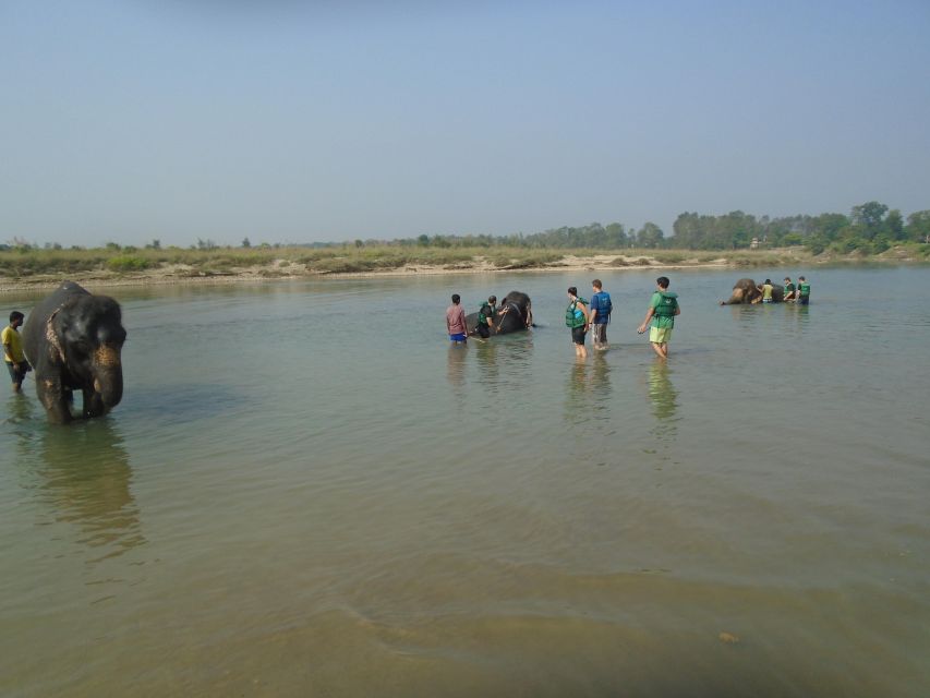 Luxury Chitwan Jungle Safari Package (2Nights/3Days) Resort - Key things to know before booking