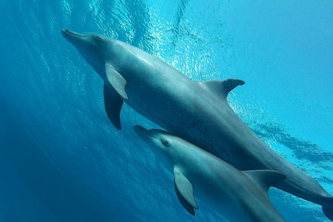 Luxury Cruise inc. Snorkeling/Massage/Island/water sport & Lunch - Orange Bay before the crowds