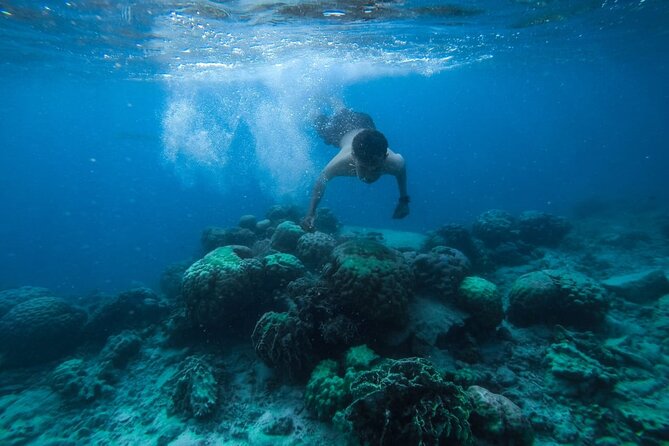 Luxury Cruise inc. Snorkeling/Massage/Island/water sport & Lunch - Snorkeling with equipment and guidance