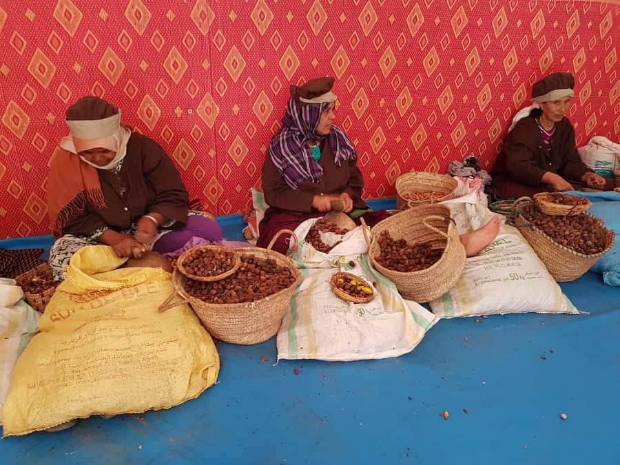 Luxury day trip to Essaouira from Marrakech - Key points at a glance