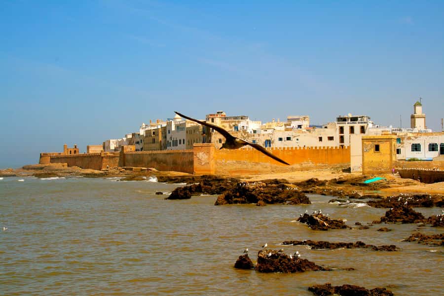 Luxury day trip to Essaouira from Marrakech - The guides and the group atmosphere