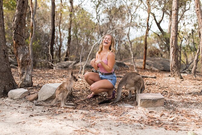 Luxury Hunter Valley Wildlife & Wine Tasting Tour from Sydney - Fat Cow Hunter Valley: a useful food break