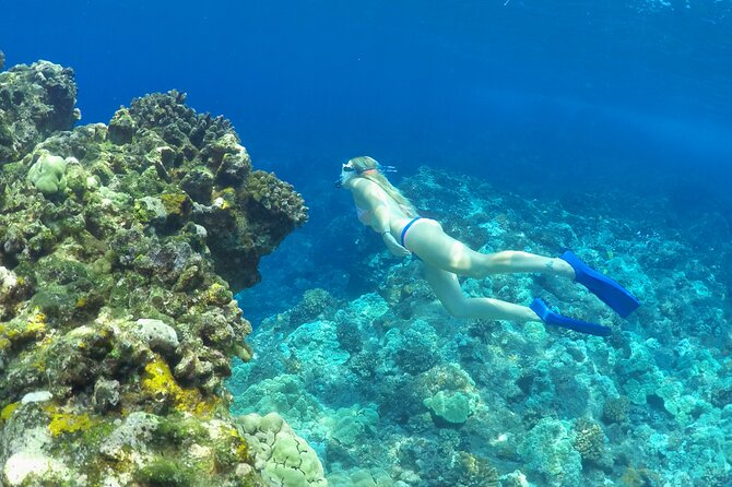 Luxury Kona Coast Snorkel Tour Including Lunch - Kealakekua Bay and the Captain Cook Monument