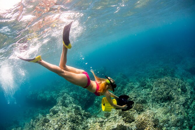 Luxury Kona Coast Snorkel Tour Including Lunch - Who should book this Kona cruise?