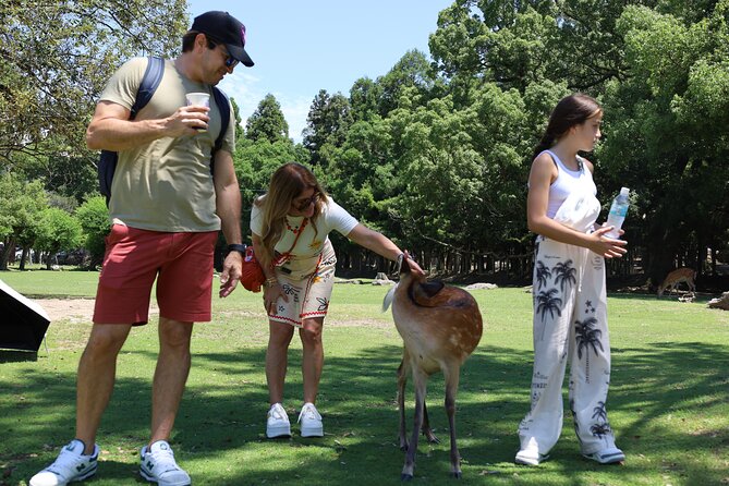 Luxury Kyoto 1-Day Private Car Tour with Nara & Osaka Options - Tenryu-ji and the calmest garden stop