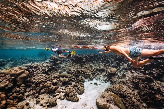 Luxury Lagoon Cruise with Onboard Chef and Signature Cocktails - Who will enjoy this Aruba cruise most