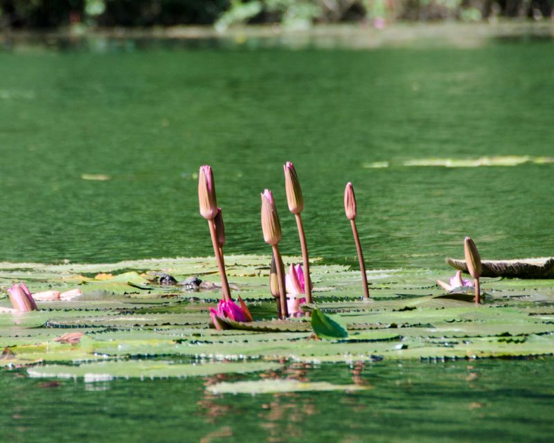 Luxury Limousine Tour: Hoa Lu, Trang An/Tam Coc & Mua Cave - How much value do you get for $42?