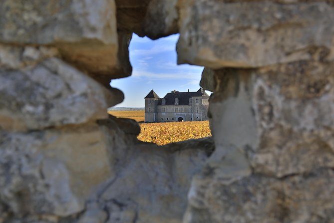 Luxury Luxury Wine Tour Experience - Reading Burgundy through the Côte d’Or