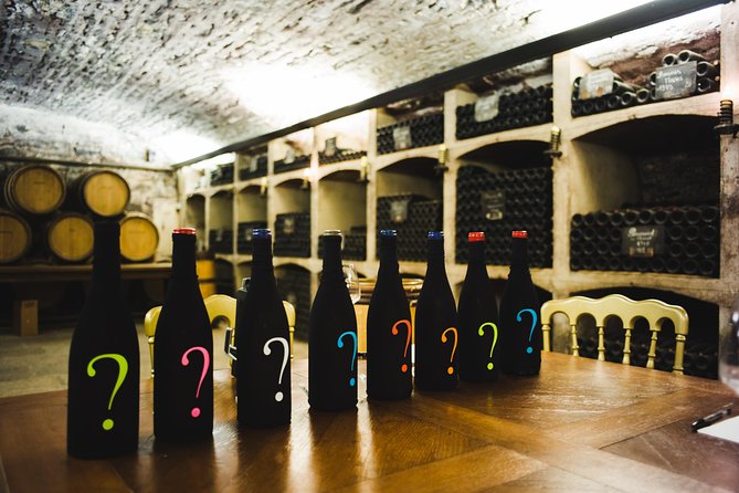 Luxury Luxury Wine Tour Experience - Clos de Vougeot, Romanée-Conti, and other famous names