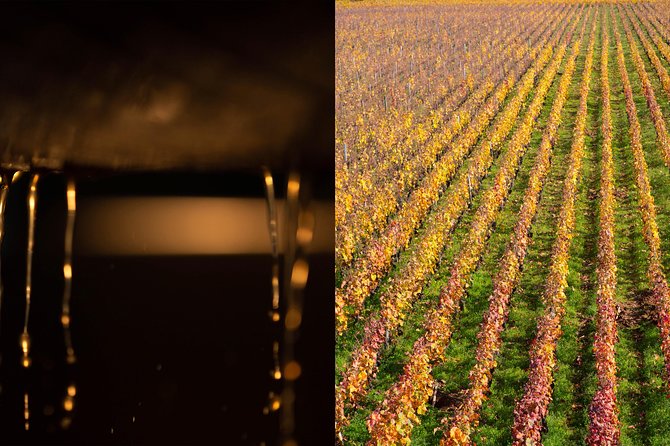 Luxury Luxury Wine Tour Experience - Three domain visits and 18 wines