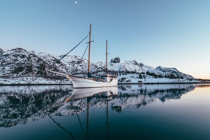 Luxury Northern Lights Yacht Cruise with Hot Tub from Tromsø - Reindeer soup, hot drinks, and a proper Arctic meal