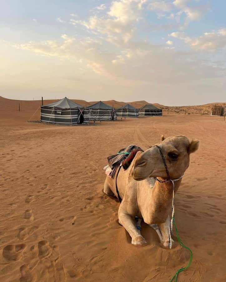 Luxury Overnight Desert Safari in Salalah - From Salalah to the frankincense country