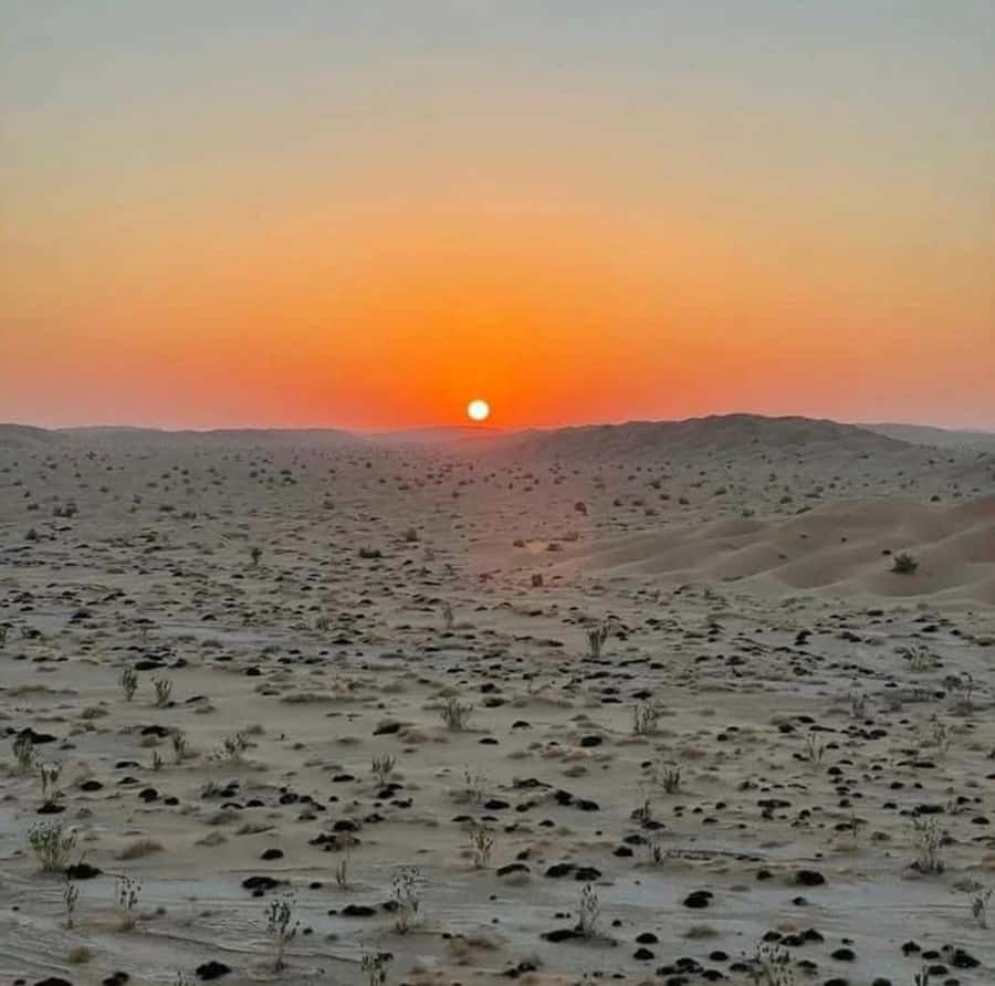 Luxury Overnight Desert Safari in Salalah - Sunset with Arabic coffee, dates, and open sand