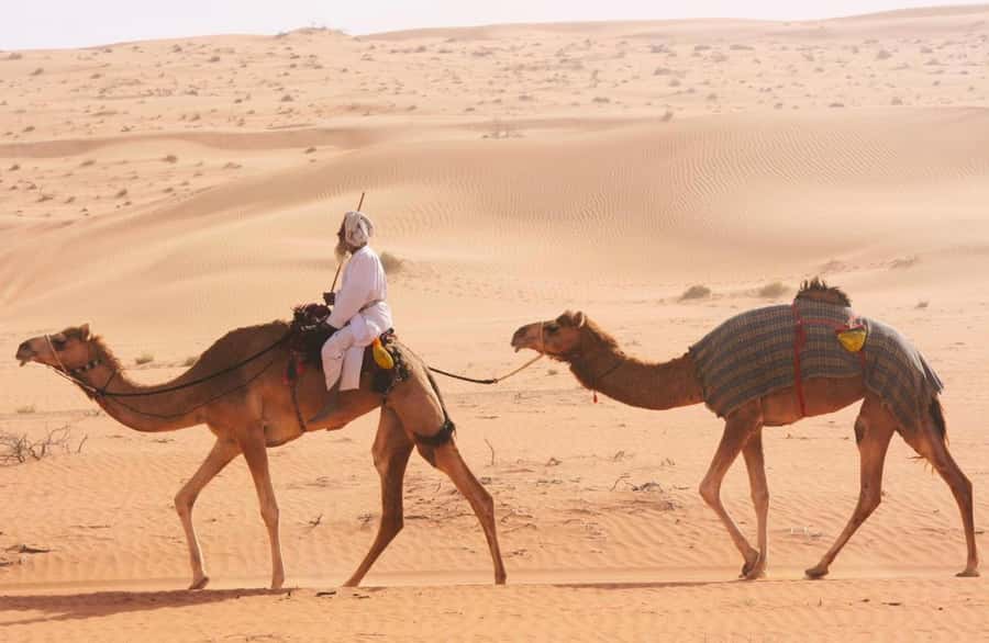 Luxury Overnight Desert Safari in Salalah - The camp: private tents, practical comforts, and mixed expectations