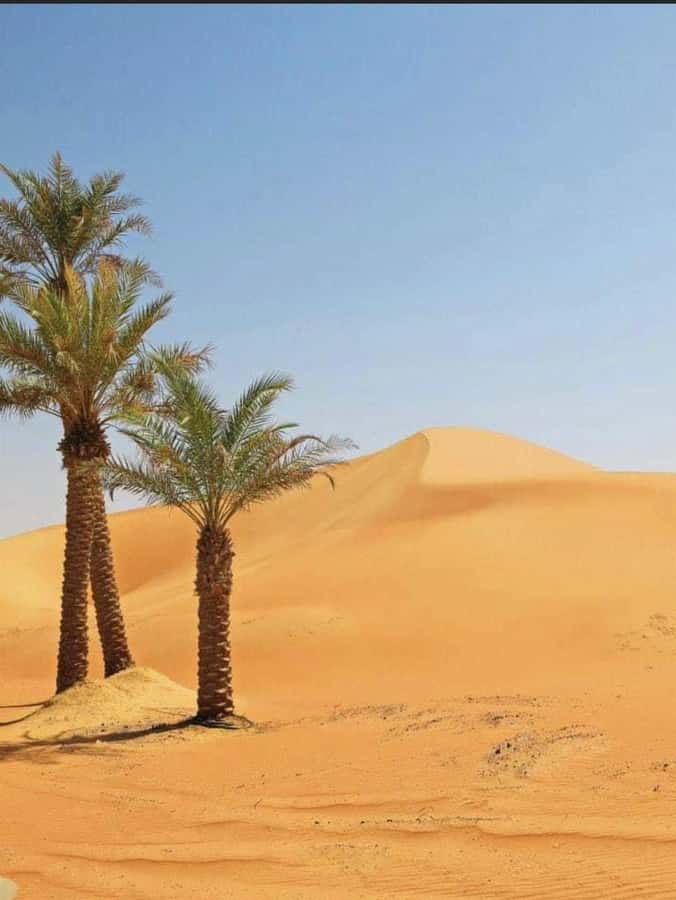 Luxury Overnight Desert Safari in Salalah - Who should book this safari?