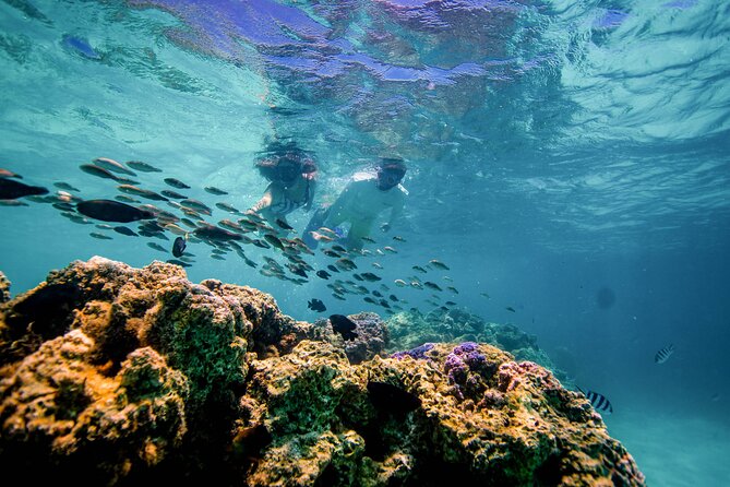 LUXURY PRIVATE Catamaran Bora Bora : Half-Day Trip - How the private format changes the experience