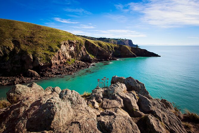 Luxury Private Guided Crater Rim Walk on Banks Peninsula - What the private guide adds