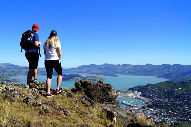 Luxury Private Guided Crater Rim Walk on Banks Peninsula - Is €301.04 per person good value?