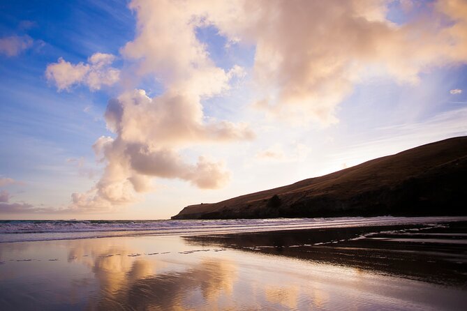 Luxury Private Guided Crater Rim Walk on Banks Peninsula - Who should book this Banks Peninsula walk?