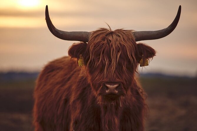 Luxury Private Tour of The Highlands & Loch Ness from Edinburgh - Doune Castle and the appeal of film locations