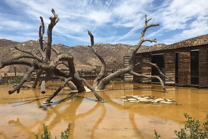 Luxury Private Wine Tasting Tour to Guadalupe Valley from San Diego - Finca Altozano and the five-course lunch