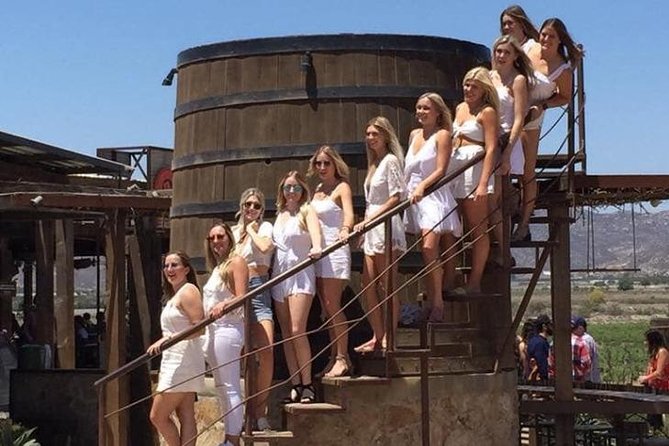Luxury Private Wine Tasting Tour to Guadalupe Valley from San Diego - The guides make the logistics easier