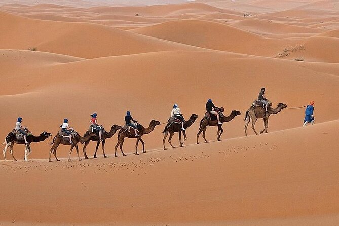 Luxury Sahara Desert From Fez back to fez or marrakech overnight - What the private tent actually offers