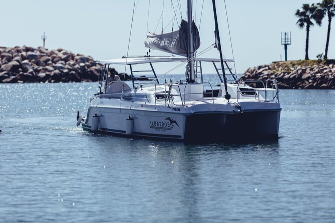 Luxury Snorkel Adventure in Cabo - Who will enjoy this Cabo catamaran most?