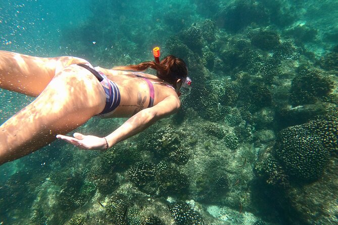 Luxury Snorkel Adventure in Cabo - El Arco and Lands End are the first big sights