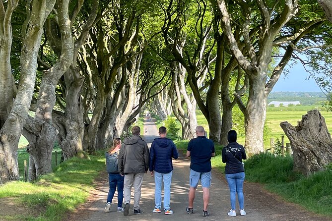 Luxury Tour of Giants Causeway from Belfast - Why this private Belfast day works well