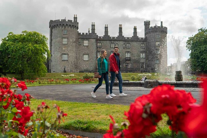 Luxury Tour Of Waterford Crystal & Kilkenny City Tour - What the small-group transport adds from Dublin