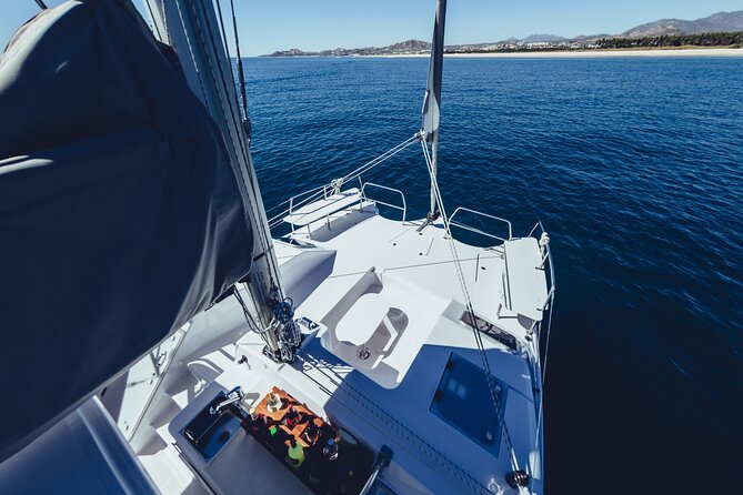 Luxury Whale Watch Cruise to The Arch Los Cabos - The whale search is the real two-hour event