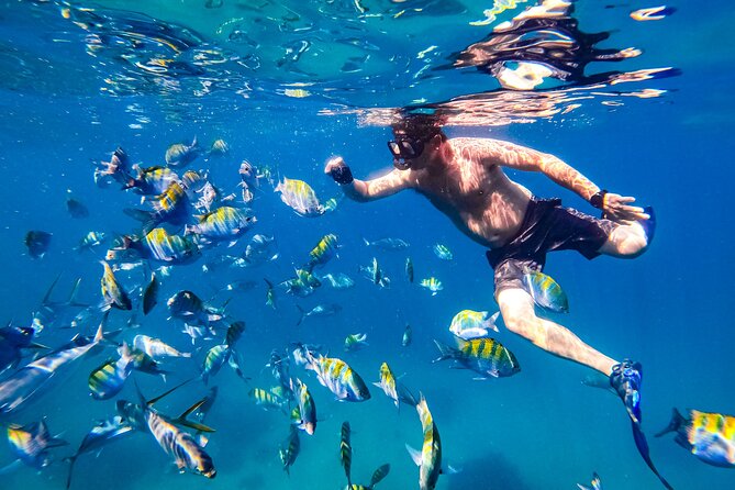Luxury Yacht & Snorkel with All inclusive Open bar and lunch - Who should book this Puerto Vallarta cruise?