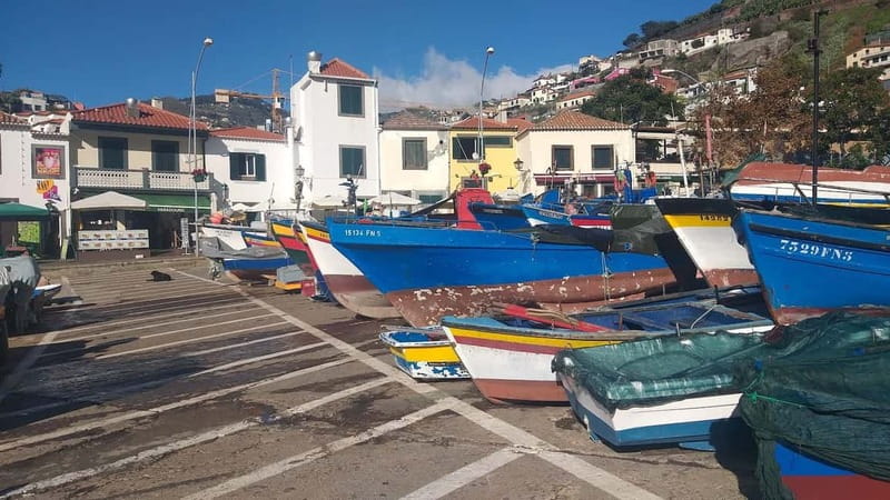 Madeira Private 4-Seater Mercedes VIP - Families, older relatives, and wheelchair users