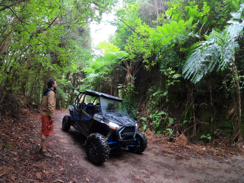 Madeira Private Buggy Adventure: Mountains and Forests - Who should book this outing