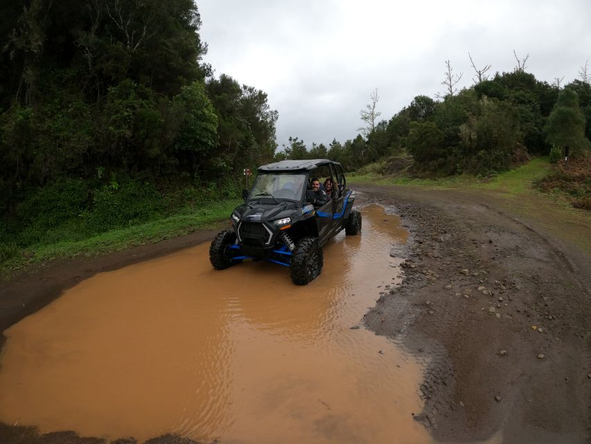 Madeira Private Buggy Adventure: Mountains and Forests - Why this Madeira buggy ride feels different