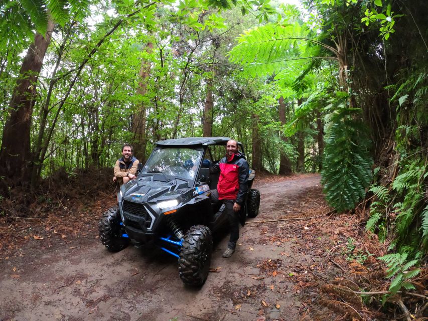 Madeira Private Buggy Adventure: Mountains and Forests - Poiso and Pico do Suna