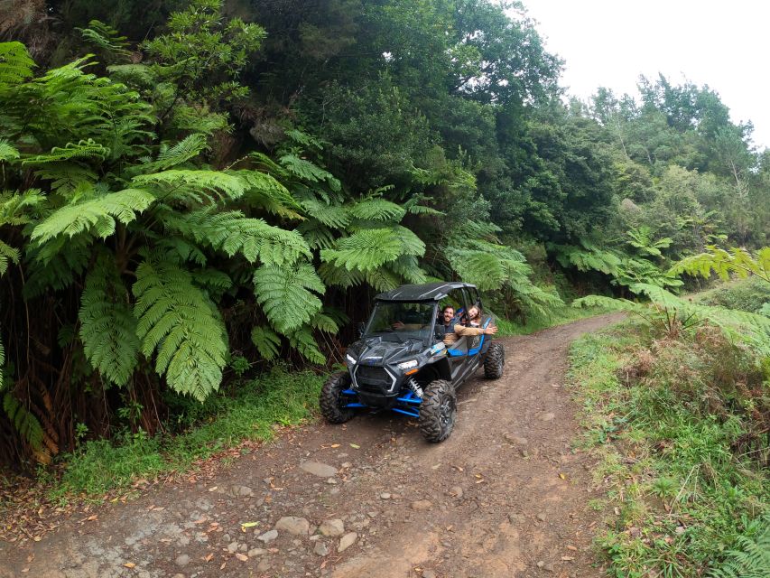 Madeira Private Buggy Adventure: Mountains and Forests - Lamaceiros Lagoon and the Portela viewpoint