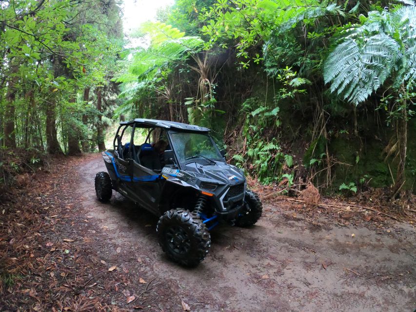 Madeira Private Buggy Adventure: Mountains and Forests - Through the Serra das Funduras forest road
