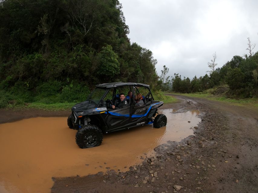 Madeira Private Buggy Adventure: Mountains and Forests - Finishing in Santo da Serra