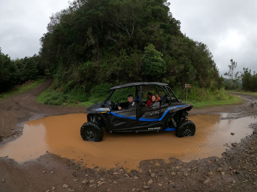 Madeira Private Buggy Adventure: Mountains and Forests - What the $212 price means