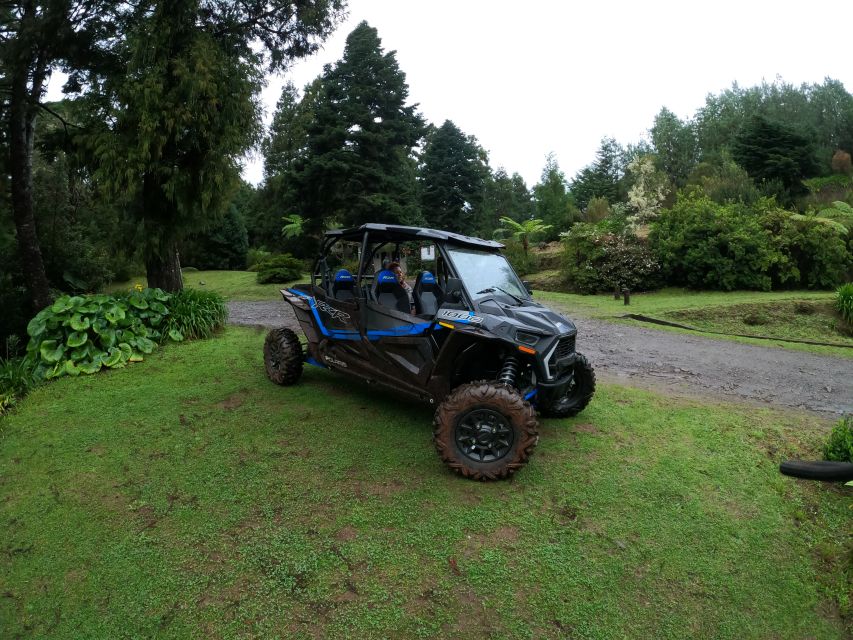 Madeira Private Buggy Adventure: Mountains and Forests - Getting started in Funchal