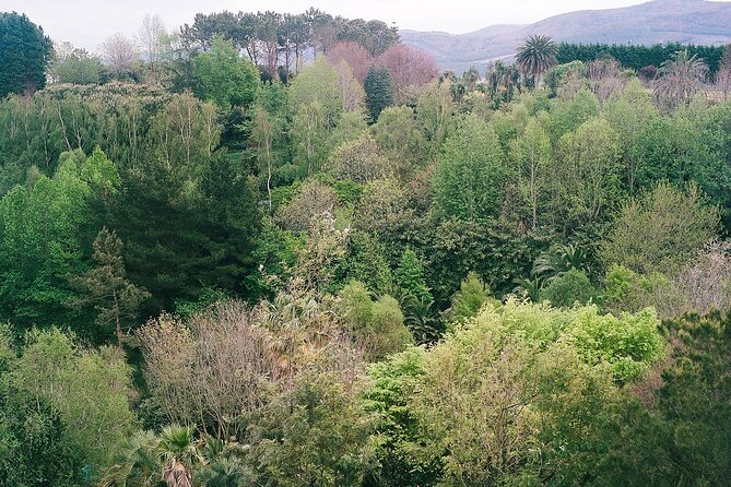 Magical and Exclusive Private Visit to the Fonte Baxa Garden, Luarca - A two-hour visit through the public and private garden