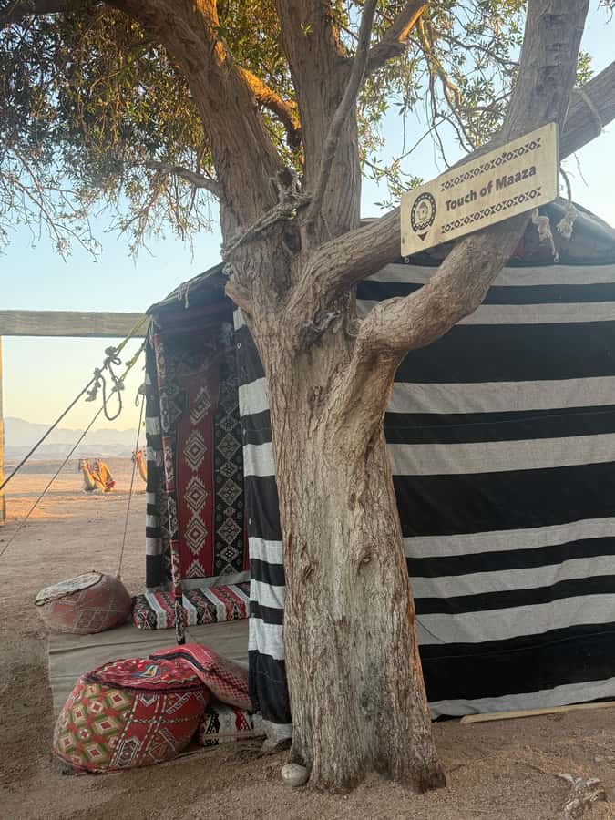 Makadi Bay: BADU Luxury Bedouin Dinner Experience & Stargaze - From hotel lobby to BADU Camp