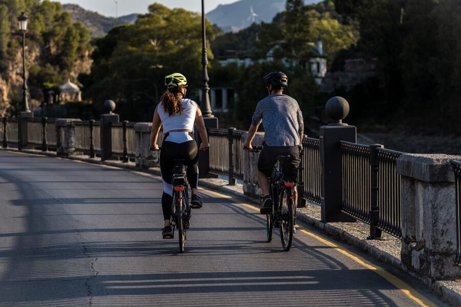Málaga: 4-Hour Premium E-Bike Tour with Panoramic Views - Pine forest and the highest observation point