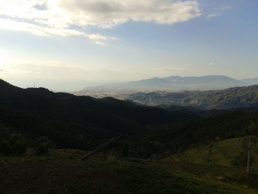 Málaga: 4-Hour Premium E-Bike Tour with Panoramic Views - Timing, weather, and what to bring