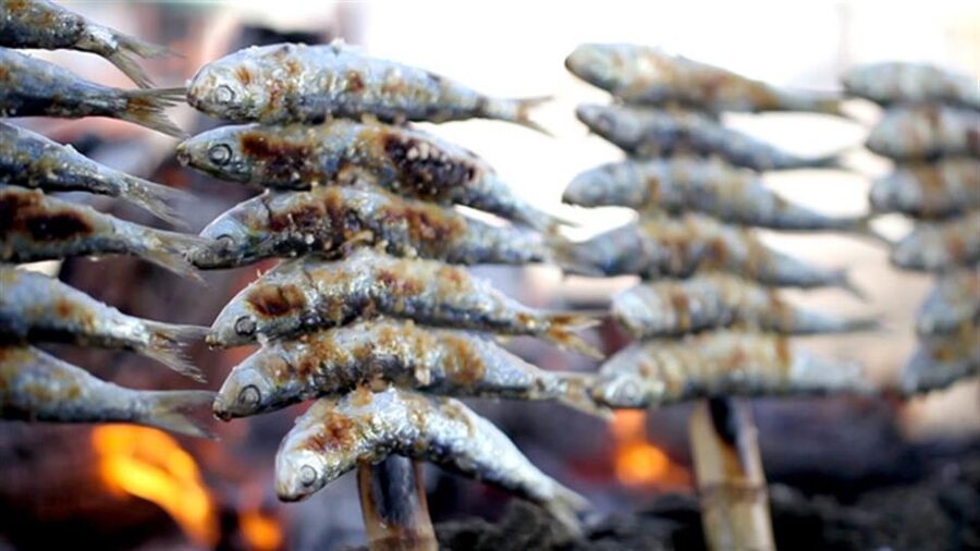Malaga: PREMIUM TAPAS TOUR Paella, Tapas, Winery & Flamenco - The guide makes the difference