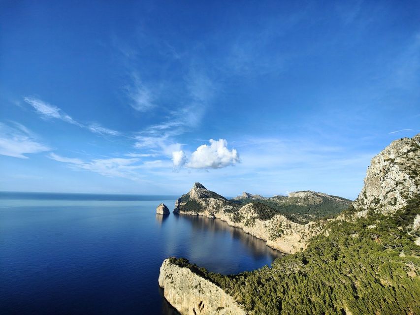 Mallorca: Premium Wine Experience, Tasting and Fine Foods - A small winery experience near Sencelles