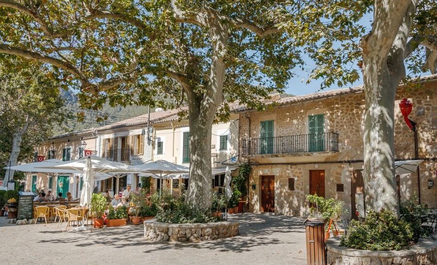Mallorca: Premium Wine Experience, Tasting and Fine Foods - What you actually taste in the glass