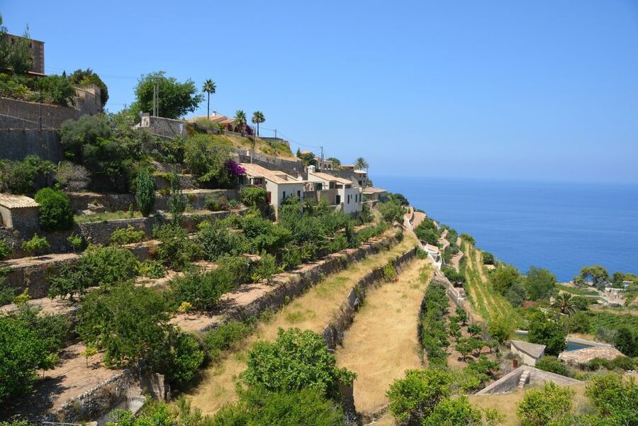 Mallorca: Premium Wine Experience, Tasting and Fine Foods - From vine to bottle in about two and a half hours